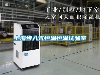 知識百科上海步入式恒溫恒濕試驗室