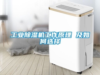 常見問題工業除濕機工作原理 及如何選擇