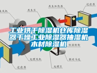 常見問題工業烘干除濕機倉庫除濕器干燥工業除濕器抽濕機木材除濕機