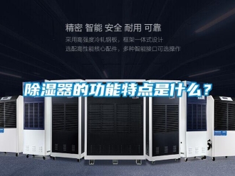 企業新聞除濕器的功能特點是什么？