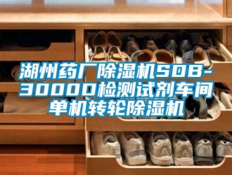 常見問題湖州藥廠除濕機SDB-3000D檢測試劑車間單機轉輪除濕機