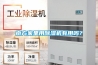 南方家里用除濕機有用嗎？