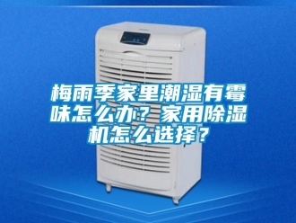 常見問題梅雨季家里潮濕有霉味怎么辦？家用除濕機怎么選擇？