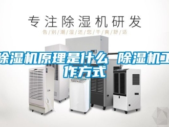 行業新聞除濕機原理是什么 除濕機工作方式