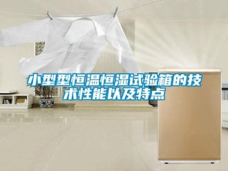 知識百科小型型恒溫恒濕試驗箱的技術性能以及特點