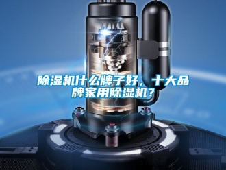 企業新聞除濕機什么牌子好，十大品牌家用除濕機？