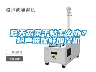 常見問題夏天蔬菜干枯怎么辦？超聲波保鮮加濕機