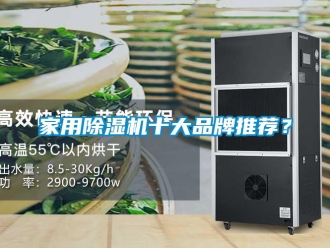 企業新聞家用除濕機十大品牌推薦？