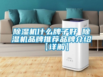 企業新聞除濕機什么牌子好 除濕機品牌推薦品牌介紹【詳解】