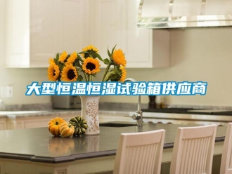 知識百科大型恒溫恒濕試驗箱供應商