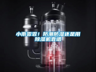 知識百科小雨霏霏！防潮防濕還是用除濕機靠譜