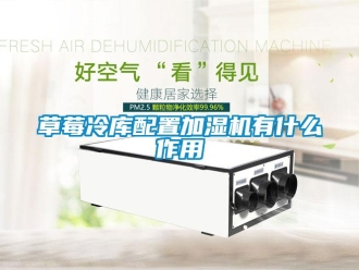 企業新聞草莓冷庫配置加濕機有什么作用