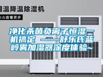 知識百科凈化殺菌負離子恒濕一機搞定 ——舒樂氏藍嶺霧加濕器深度體驗~