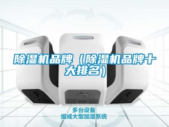 企業新聞除濕機品牌（除濕機品牌十大排名）