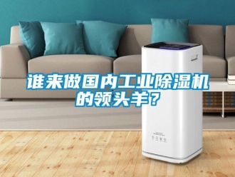 知識百科誰來做國內工業除濕機的領頭羊？