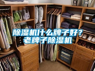 企業新聞除濕機什么牌子好？老牌子除濕機