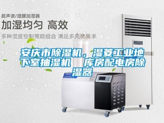 常見問題安慶市除濕機，濕菱工業地下室抽濕機  庫房配電房除濕器