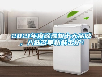 企業新聞2021年度除濕機十大品牌，入選名單新鮮出爐！