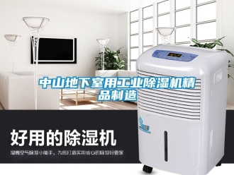 常見問題中山地下室用工業除濕機精品制造