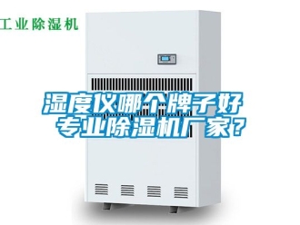 企業新聞濕度儀哪個牌子好 專業除濕機廠家？
