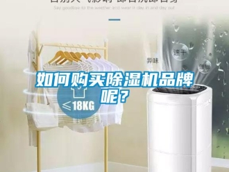 企業新聞如何購買除濕機品牌呢？
