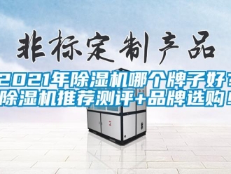 企業新聞2021年除濕機哪個牌子好？除濕機推薦測評+品牌選購！