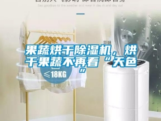 行業新聞果蔬烘干除濕機，烘干果蔬不再看“天色”