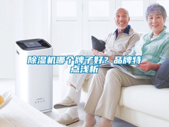 企業新聞除濕機哪個牌子好？品牌特點淺析