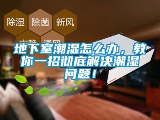 常見問題地下室潮濕怎么辦，教你一招徹底解決潮濕問題！