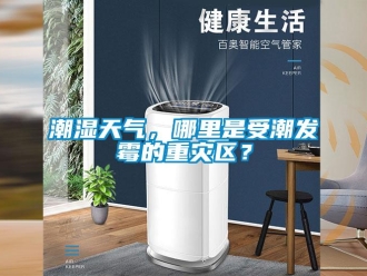 企業新聞潮濕天氣，哪里是受潮發霉的重災區？