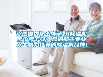 企業新聞除濕國內什么牌子好(除濕機哪個牌子好？盤點那些專業人士極力推薦的除濕機品牌)