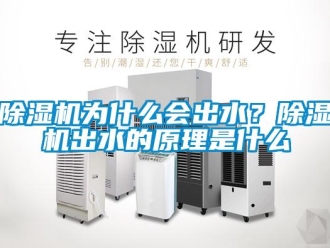 企業新聞除濕機為什么會出水？除濕機出水的原理是什么