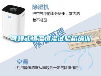 知識百科可程式恒溫恒濕試驗箱培訓