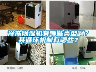行業新聞冷凍除濕機有哪些類型??？其循環機制有哪些？
