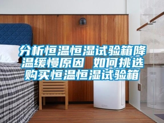 知識百科分析恒溫恒濕試驗箱降溫緩慢原因 如何挑選購買恒溫恒濕試驗箱