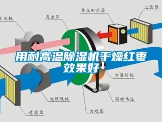 知識百科用耐高溫除濕機干燥紅棗效果好