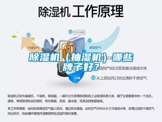 企業新聞除濕機（抽濕機）哪些牌子好？