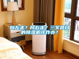 知識百科向左走？向右走？三叉路口的除濕機該咋辦？