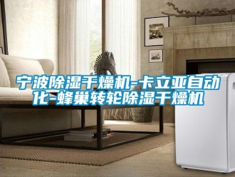 常見問題寧波除濕干燥機-卡立亞自動化-蜂巢轉輪除濕干燥機