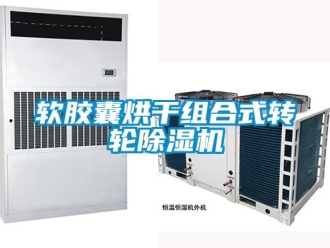 行業新聞軟膠囊烘干組合式轉輪除濕機