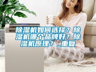 企業新聞除濕機如何選擇？除濕機哪個品牌好？除濕機原理？_重復