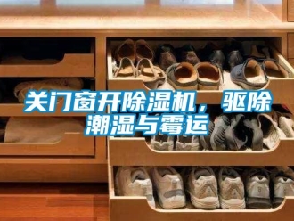 企業新聞關門窗開除濕機，驅除潮濕與霉運