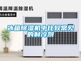 企業新聞冰箱除濕機中比較常見的制冷劑
