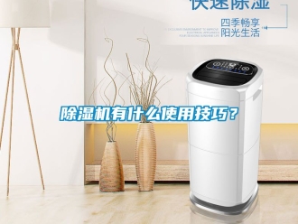 行業新聞除濕機有什么使用技巧？