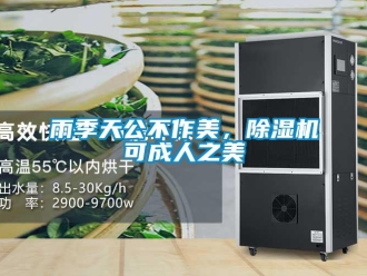 知識百科雨季天公不作美，除濕機可成人之美