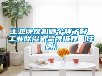 常見問題工業除濕機哪個牌子好 工業除濕機品牌推薦【詳解】