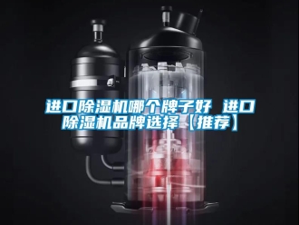 企業新聞進口除濕機哪個牌子好 進口除濕機品牌選擇【推薦】