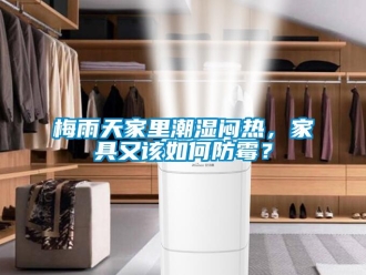 常見問題梅雨天家里潮濕悶熱，家具又該如何防霉？