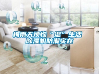 行業新聞梅雨天煩惱“濕”生活 除濕機防潮實在