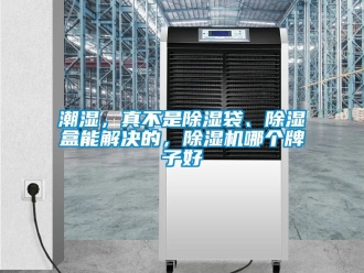 企業新聞潮濕，真不是除濕袋、除濕盒能解決的，除濕機哪個牌子好